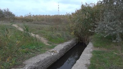 Вміст цинку та свинцю у воді Куяльницького лиману на Одещині перевищує норму у п’ять разів Вміст цинку та свинцю у воді Куяльницького лиману на Одещині перевищує норму у п’ять разів