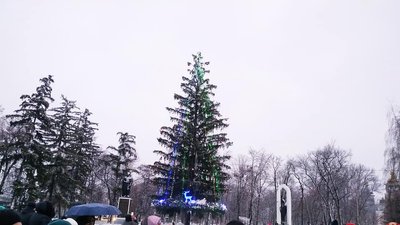У Гадячі на Полтавщині вирішили не прикрашати новорічну ялинку