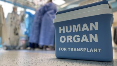 Бокс для зберігання органів Бокс для зберігання органів