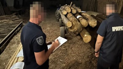 Судитимуть колишнього лісівника, його зятя та власника пилорами на Рівненщині