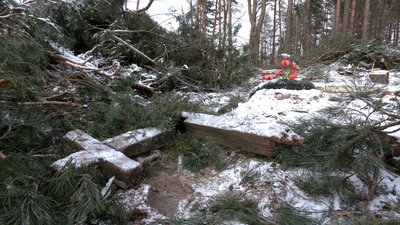 Зламані хрести, пошкоджені пам'ятники – в Ніжинському районі зруйнували могили під час вирубки дерев Зламані хрести, пошкоджені пам'ятники – в Ніжинському районі зруйнували могили під час вирубки дерев