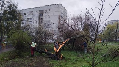 Понад 2,7 тисячі звернень про повалені дерева, зірвані дахи чи обірвані дроти прийняли комунальники у Харкові