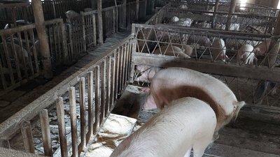 суд над росіянином суд над росіянином