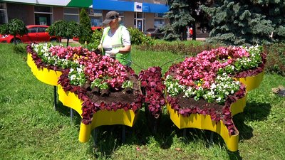 В Житомирі у "метелику" на майдані Соборному висадили близько 700 рослин