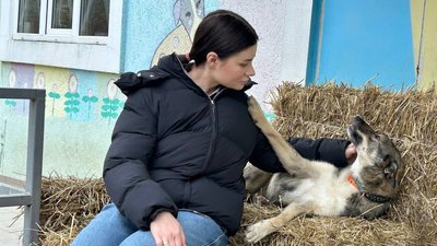 Житомир, собака, центр захисту тварин, шукає родину, 13 листопада 2025 року