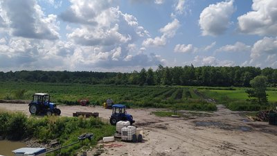 Ринок землі. Що потрібно знати перед продажем ділянки — пояснює миколаївський нотаріус