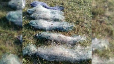 На Чернігівщині рибалки наловили риби на понад 120 тисяч гривень На Чернігівщині рибалки наловили риби на понад 120 тисяч гривень