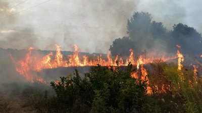 Дим в районі річки Кам'янка у Житомирі є наслідком пожежі – рятувальники