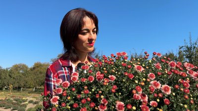 Жителька Хмельниччини вирощує на городі понад тисячу кущів квітів, жовтень 2026 року