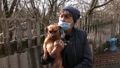 Родина Котів з Рівненщини прихистила у себе півсотні собак Родина Котів з Рівненщини прихистила у себе півсотні собак