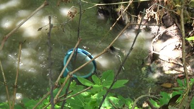 У Житомирі роблять лабораторні дослідження води у Тетереві через аварію на каналізаційній станції У Житомирі роблять лабораторні дослідження води у Тетереві через аварію на каналізаційній станції