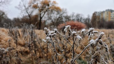 Погода, 4 грудня, Івано-Франківськ
