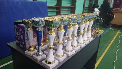 У Сумах відбувся різдвяний турнір з дзюдо