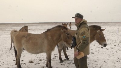 100 років тому "Асканія-Нова" отримала статус державного заповідника 100 років тому "Асканія-Нова" отримала статус державного заповідника