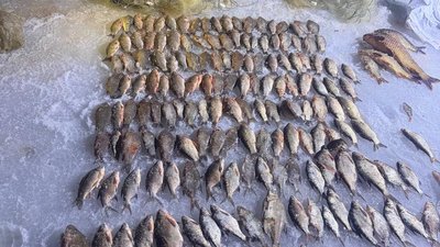 Браконьєри на Вінниччині