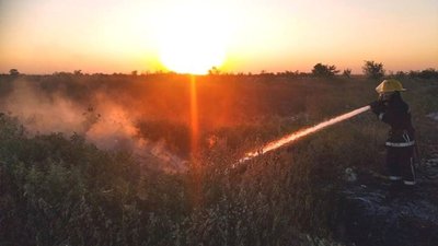 На Херсонщині за добу 12 разів горіли сухостій та очерет