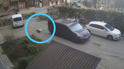 В одному з дворів Луцька жінка вчепилася за бус працівників ТЦК та впала з нього
