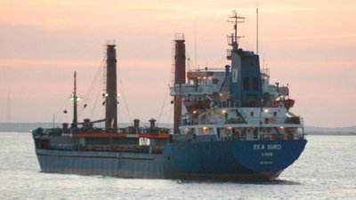 Поблизу Криту затонув суховантаж з українською пшеницею