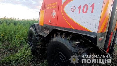Плантації конопель площею 1,5 тисячі квадратних метрів виявили на Одещині Плантації конопель площею 1,5 тисячі квадратних метрів виявили на Одещині