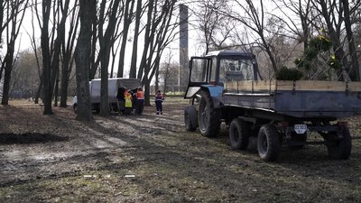 У полтавських парках почали висаджувати дерева