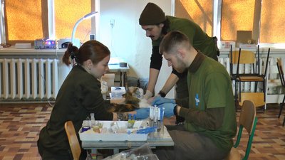 Волонтери безкоштовний прийом тварини Костянтинівка Донецька область Волонтери безкоштовний прийом тварини Костянтинівка Донецька область