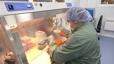 Дослідження біологічних матеріалів, 3 січня 2025 року