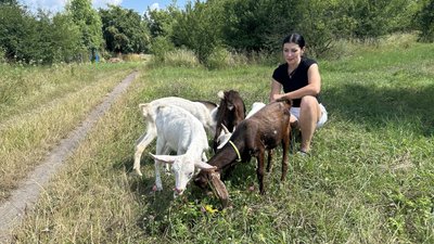 Марія Дзюбак вирощує 30 кіз, Хмельниччина