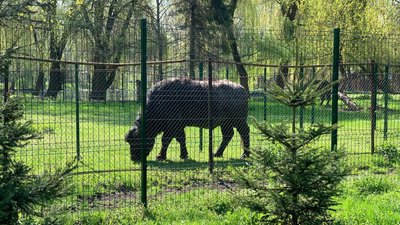 Тернопільський зоокуток відновив роботу Тернопільський зоокуток відновив роботу