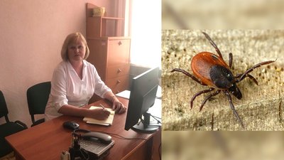 На Тернопільщині червневий антирекорд укусів кліщів — ОЛЦ
