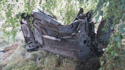 Біля Мени легковик зіткнувся з деревом: загинули двоє людей