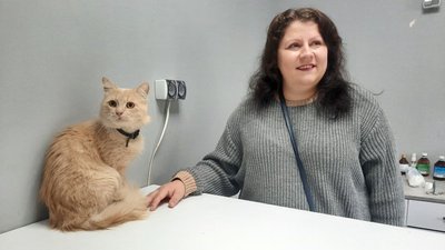 "Лікуємо всіх власним коштом". Ветеринар з Дніпра безкоштовно вилікував понад 400 тварин-переселенців "Лікуємо всіх власним коштом". Ветеринар з Дніпра безкоштовно вилікував понад 400 тварин-переселенців