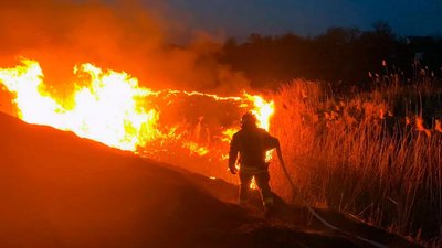 Протягом доби на Дніпропетровщині ліквідували 57 пожеж в екосистемах