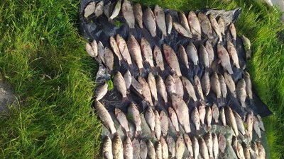 На Вінниччині чоловік наловив 35 кілограмів риби на майже 700 тисяч гривень На Вінниччині чоловік наловив 35 кілограмів риби на майже 700 тисяч гривень