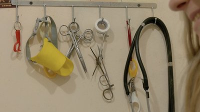 Розповіли, як піклуватись про безхатніх тварин взимку Розповіли, як піклуватись про безхатніх тварин взимку
