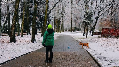 Погода, парк, Івано-Франківськ, сніг, собака