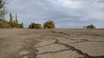 Після акції протесту у Веселиновому розпочали підготовчі дорожні роботи