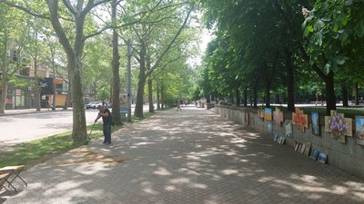 На Миколаївщині запроваджується комендантська година з 22:00 до 6:00