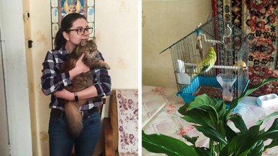 Ховалися та ходили на антиросійський мітинг. Подружжя з Херсона – про життя в окупації та виїзд у Кропивницький Ховалися та ходили на антиросійський мітинг. Подружжя з Херсона – про життя в окупації та виїзд у Кропивницький