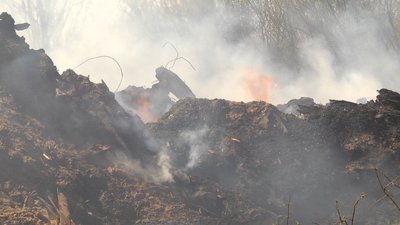 На території підприємства у Житомирі горіли залишки деревини На території підприємства у Житомирі горіли залишки деревини