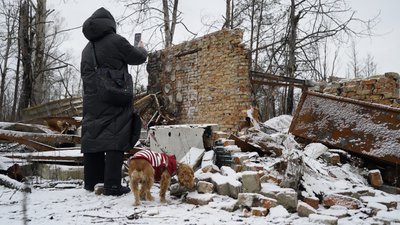 Сапери розміновують двори в деокупованих Руських Тишках Сапери розміновують двори в деокупованих Руських Тишках