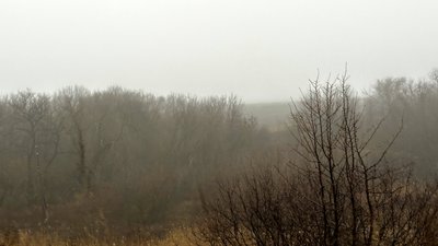 Туман на Донеччині