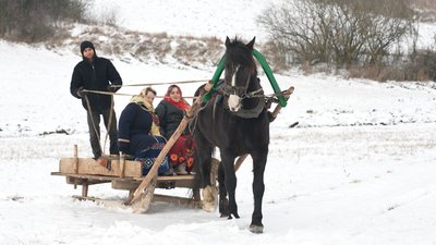 Кобила Леся