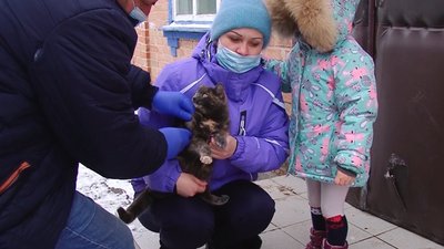 Тварин вакцинують безкоштовно Тварин вакцинують безкоштовно