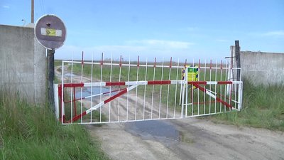 Чорноморський біосферний заповідник: які особливості не туристичної перлини Херсонщини