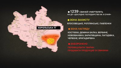 Через виявлений вірус африканської чуми на Полтавщині умертвлять понад 1000 тварин Через виявлений вірус африканської чуми на Полтавщині умертвлять понад 1000 тварин