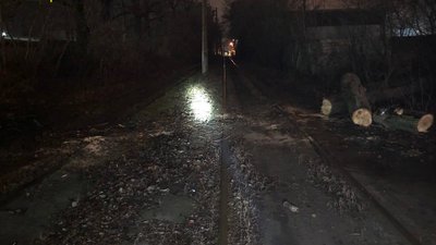 Повалені дерева на дорогах та лініях електропередач: наслідки негоди у Харкові Повалені дерева на дорогах та лініях електропередач: наслідки негоди у Харкові