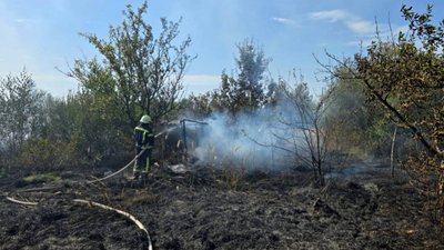 Ліквідація пожеж на Волині