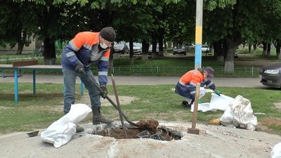 Комунальники викопують яму, аби встановити скульптуру ведмедя-пасічника Комунальники викопують яму, аби встановити скульптуру ведмедя-пасічника