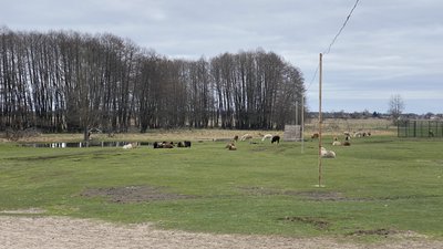 В екопарку під Полтавою живуть тварини з вінницького зоопарку В екопарку під Полтавою живуть тварини з вінницького зоопарку