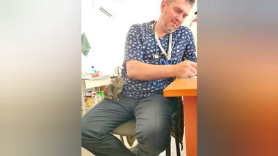 Олег Токарчук любить тварин Олег Токарчук любить тварин